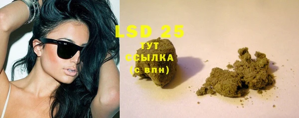 гашик Богданович