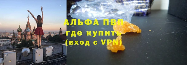 шишки Армянск