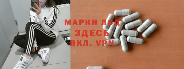 гашик Аркадак