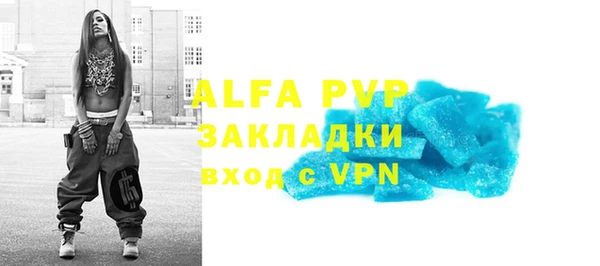 гашик Богданович