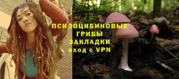 гашик Богданович