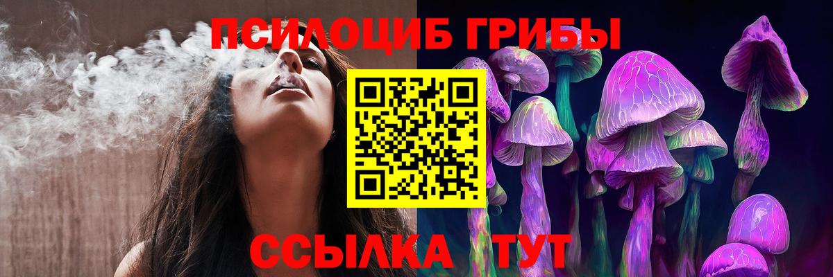 Псилоцибиновые грибы Psilocybine cubensis Кировск